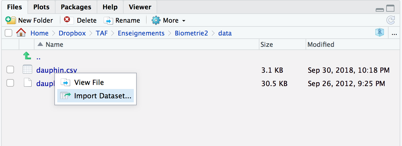 Importer un fichier `.csv` depuis l'onglet `Files` de RStudio